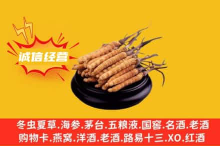 大兴安岭漠河市回收冬虫夏草